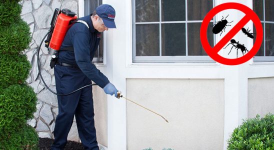 Fındıklı Akrep İlaçlama böcek ilaçlama ve haşere kontrolü — ilaclama-tr.com